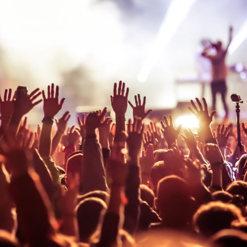 crowd at concert - summer music festival